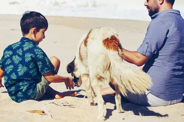 Hayvanları mı, insanları mı eğitmek daha kolay? Karar sizin ‘kafesi hak eden’ hangimiz?