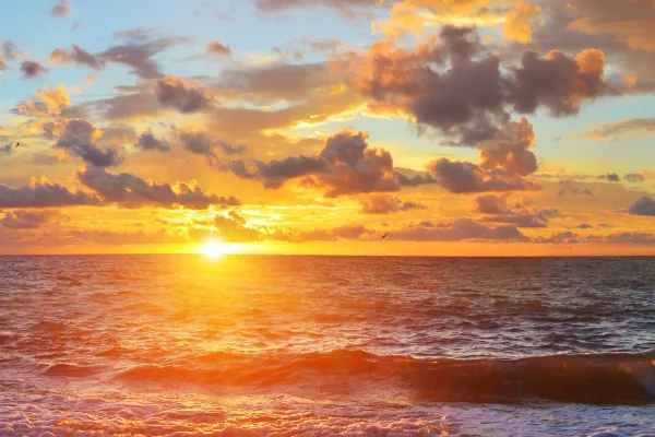 Hıyar Acıysa At: Modern Gürültüye Stoacı Bir Cevap